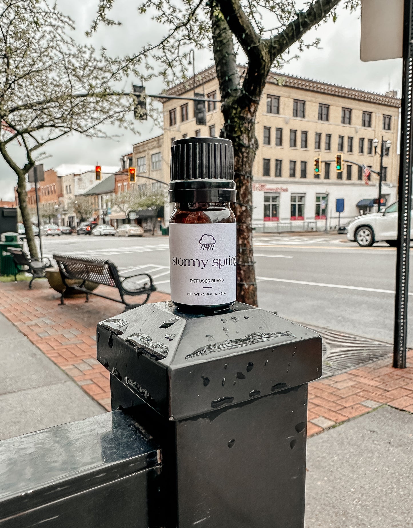 Stormy Spring Diffuser Blend