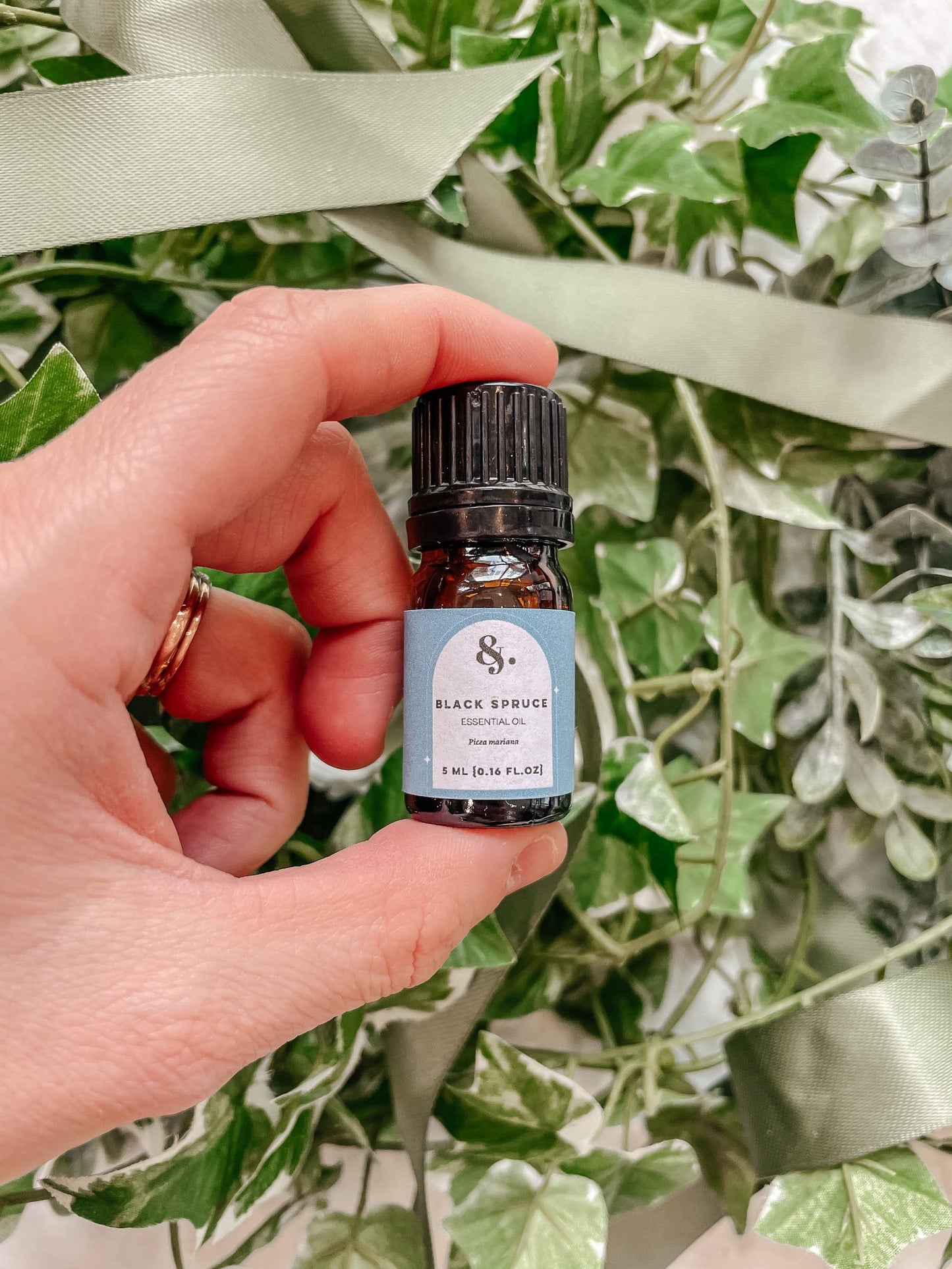 Black Spruce Essential Oil - Bulk