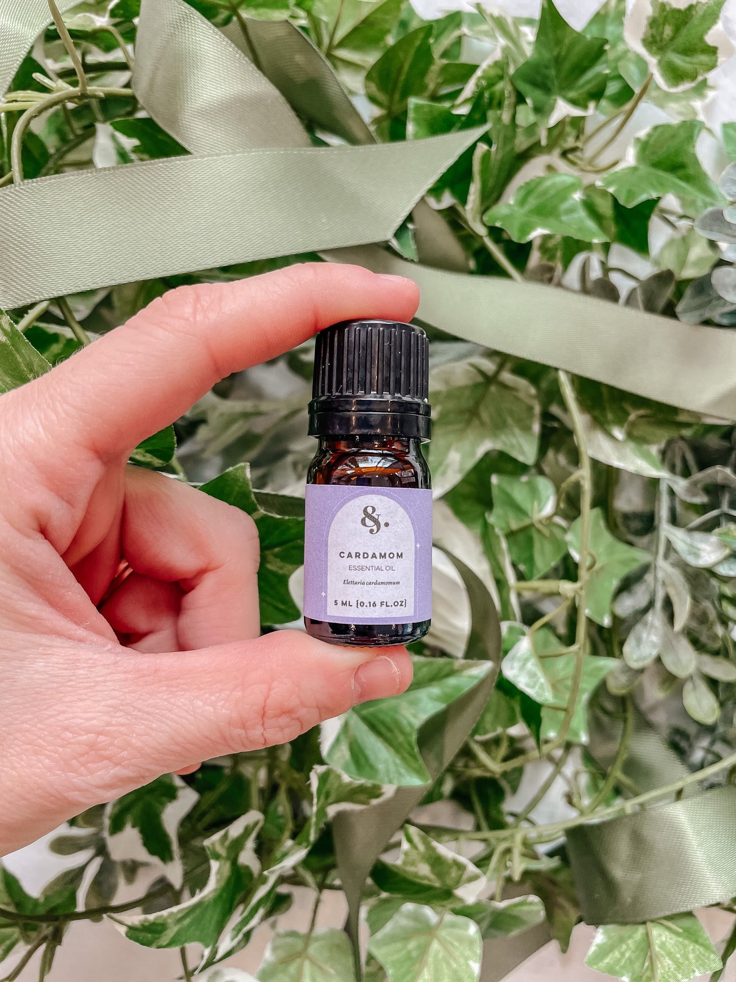 Cardamom Essential Oil - Bulk