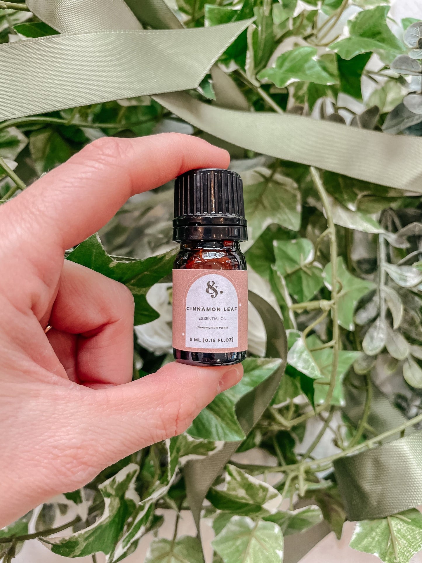 Cinnamon Leaf Essential Oil - Bulk