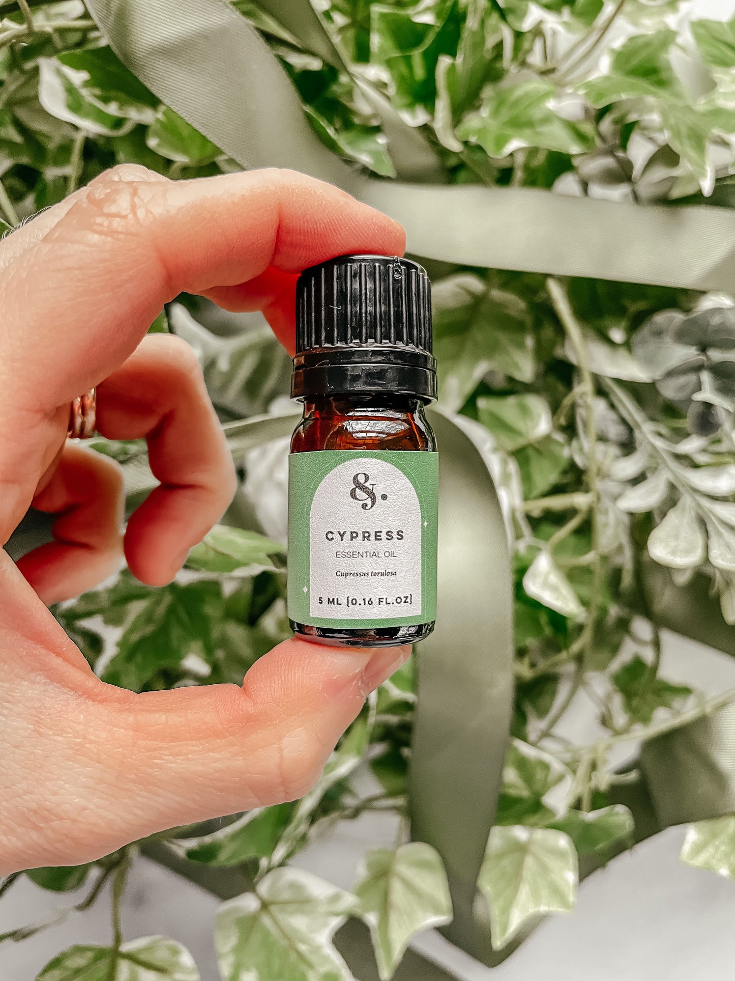 Cypress (Himalayan) Essential Oil - Bulk
