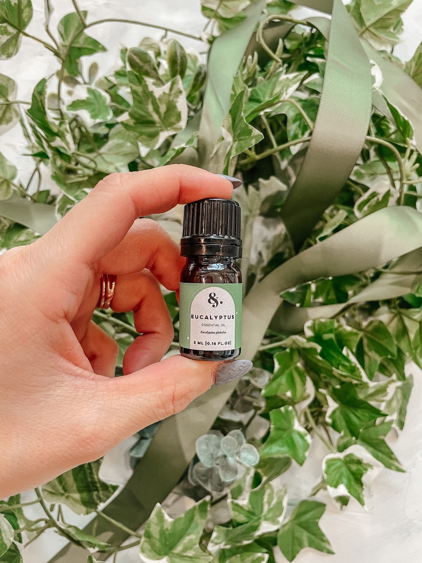 Eucalyptus globulus Essential Oil - Bulk
