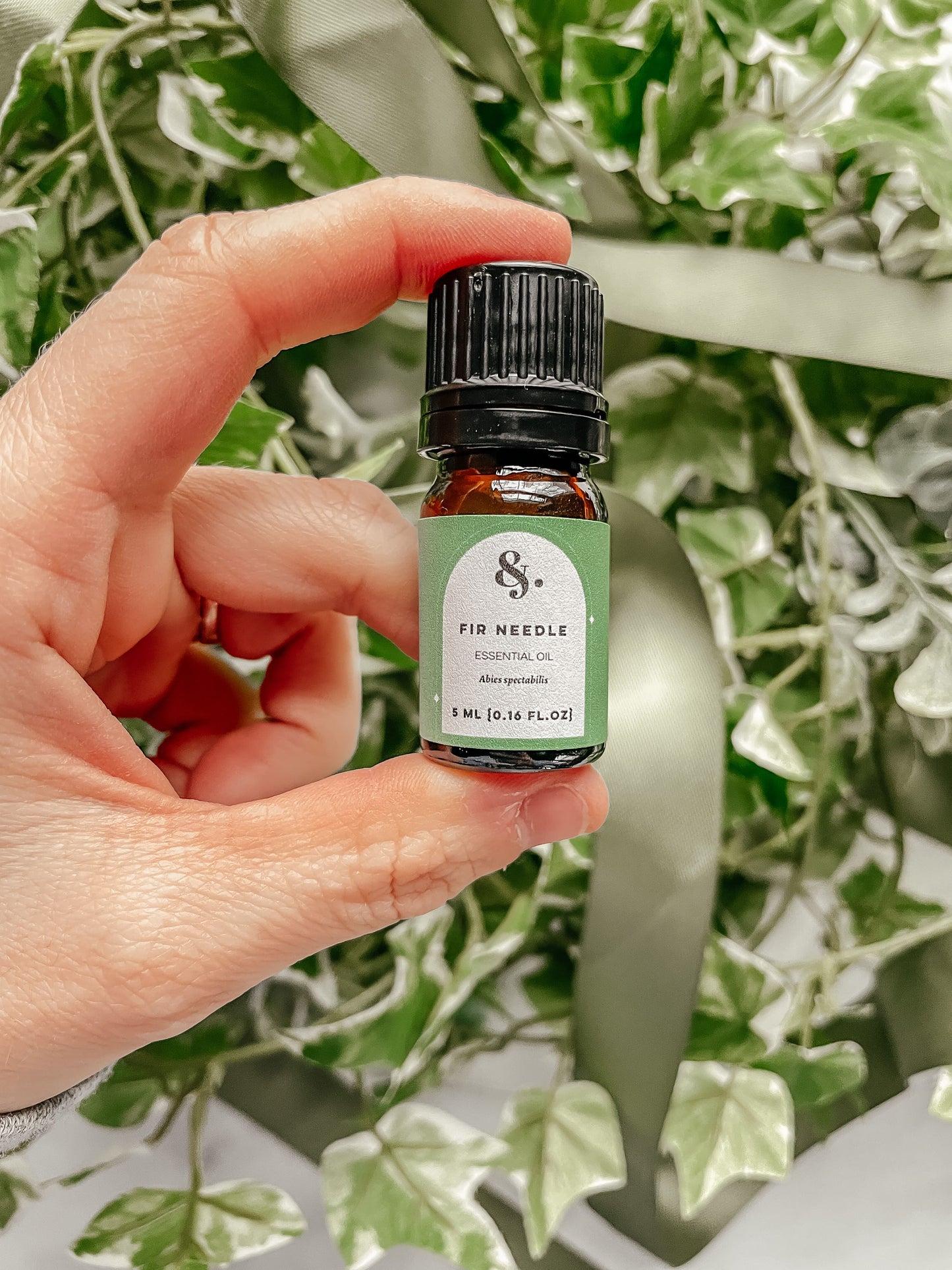 Fir Needle (Himalayan)