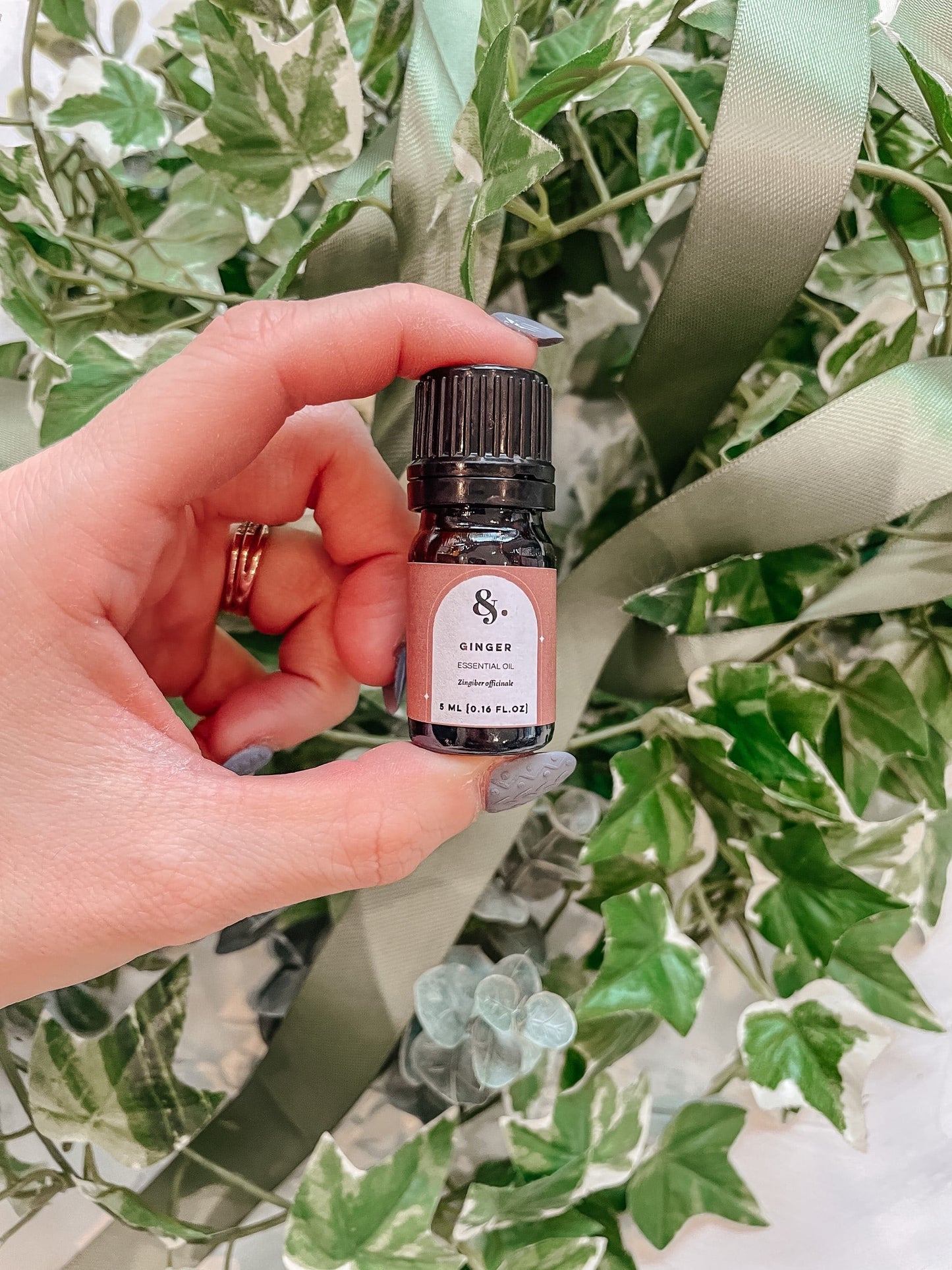 Ginger (CO2) Essential Oil - Bulk