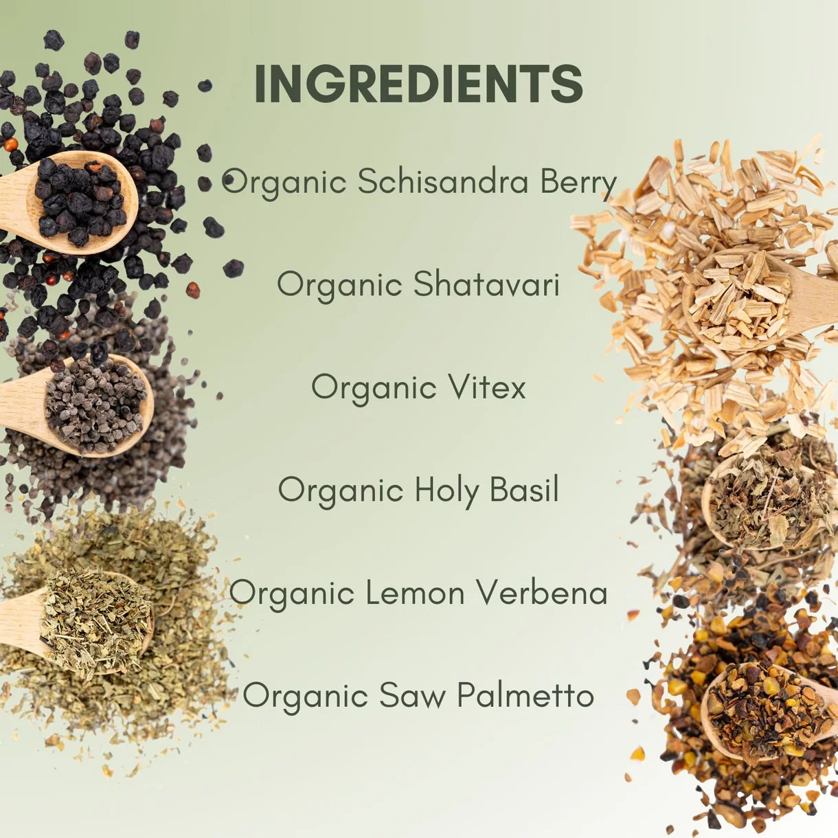 Cycle Support Loose Leaf Tea