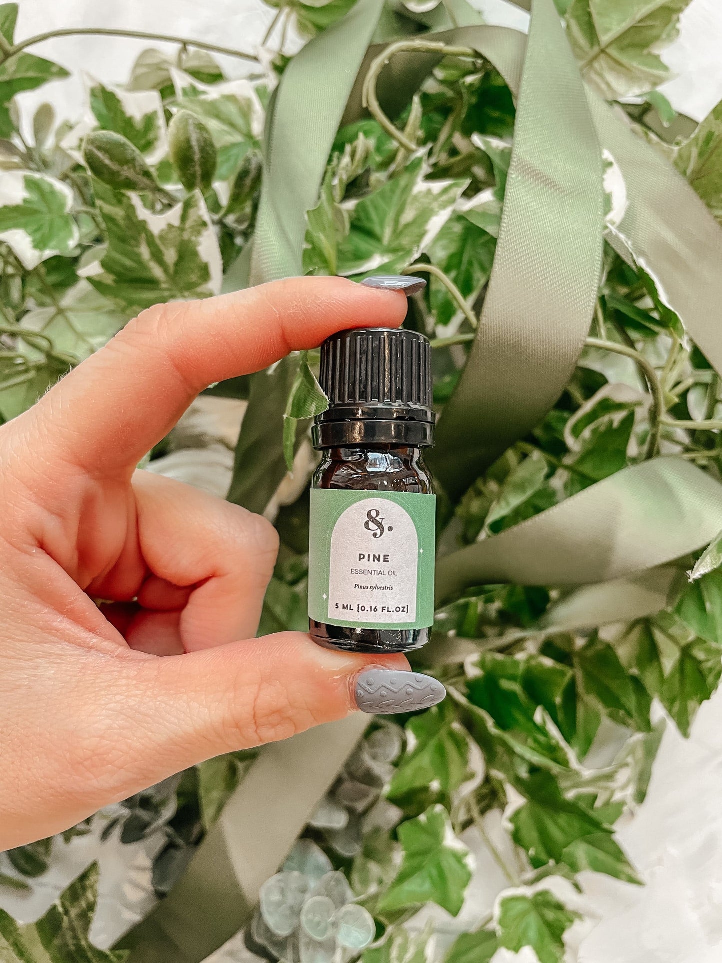 Pine (Scots) Essential Oil - Bulk