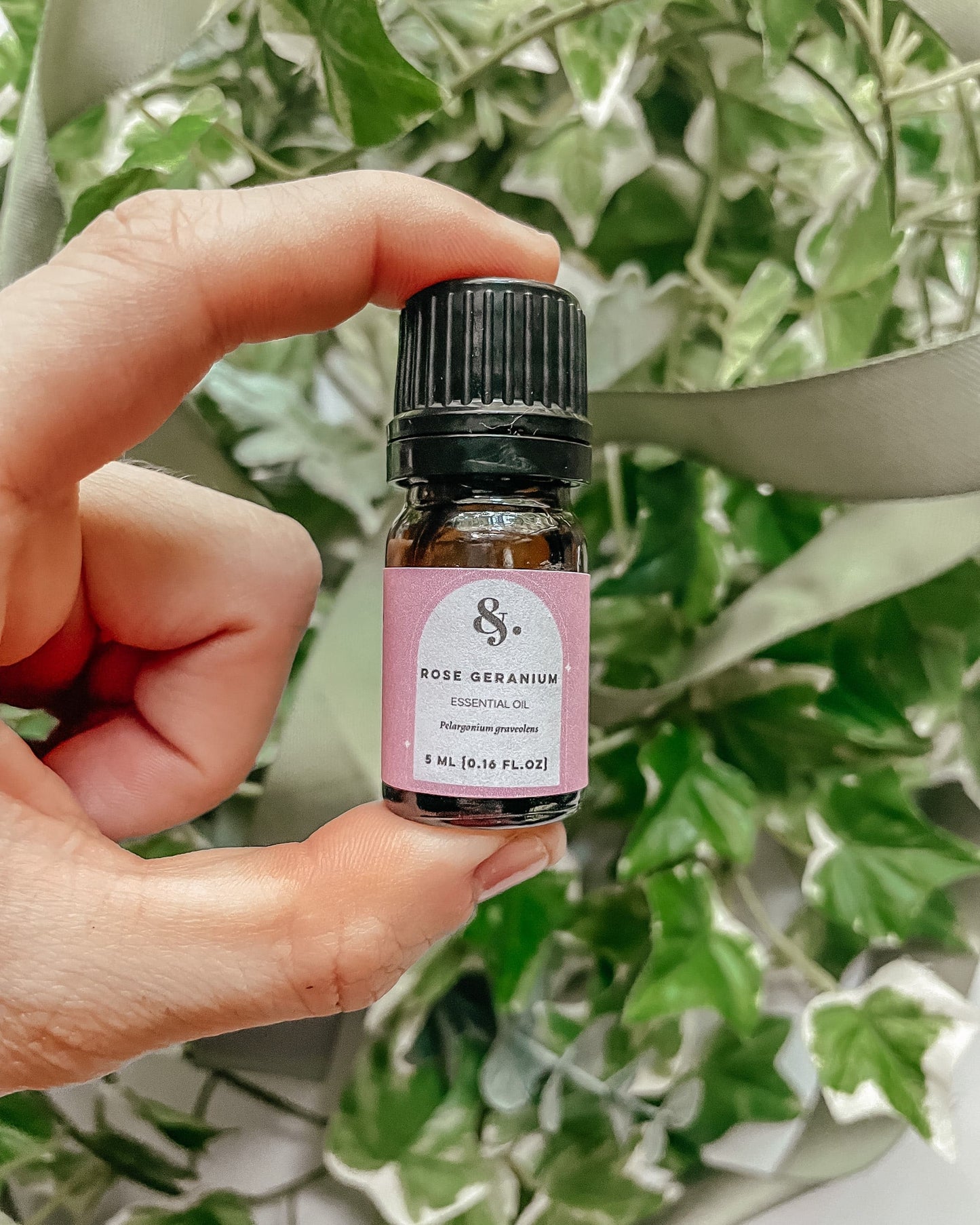 Rose Geranium Essential Oil - Bulk