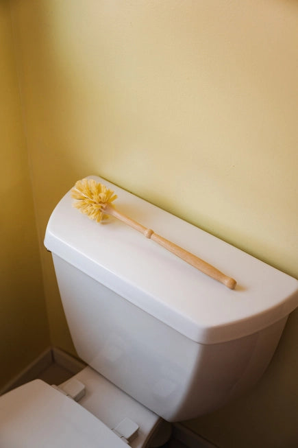 Eco-Friendly Toilet Brush